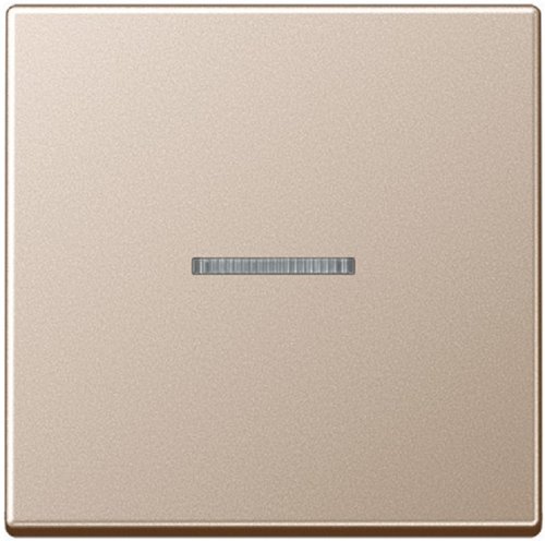 Лицевая панель Jung A creation для 1-кл. выключателя с подсветкой шампань фото Лицевая панель Jung A creation для 1-кл. выключателя с подсветкой шампань картинка